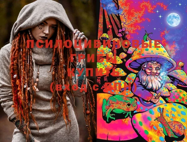 марихуана Абаза
