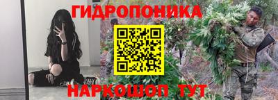 спиды Канаш