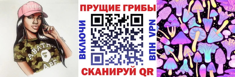 Псилоцибиновые грибы Cubensis  Шебекино 