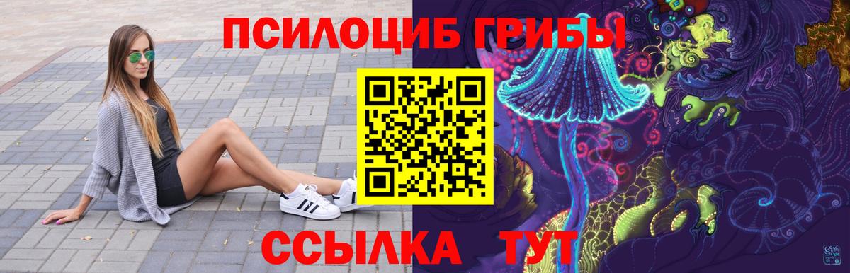 Псилоцибиновые грибы GOLDEN TEACHER  Псилоцибиновые грибы Psilocybine cubensis  Вход с VPN  Шебекино 